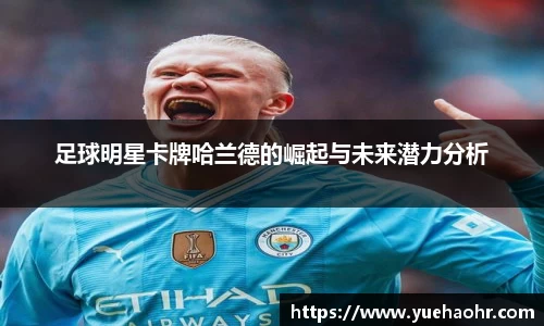 BB贝博艾弗森官网